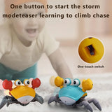 https://www.pulingo.com/products/engaging-interactive-dancing-crab-dog-toy-with-musical-sounds-entertaining-and-stimulating-pet-toy-for-dogs-and-cats-keeps-y?utm_source=copyToPasteBoard&utm_medium=product-links&utm_content=web