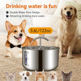 Cat Water Fountain – Large Capacity 3.6L Stainless Steel Automatic Pet Water Dispenser for Cats & Dogs 🐾💧