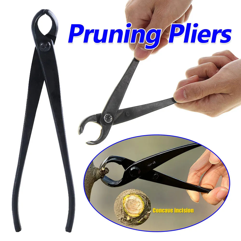 210 mm Bonsai Scissor – Alloy Steel Branch Cutter & Pruning Pliers for Bonsai Trees