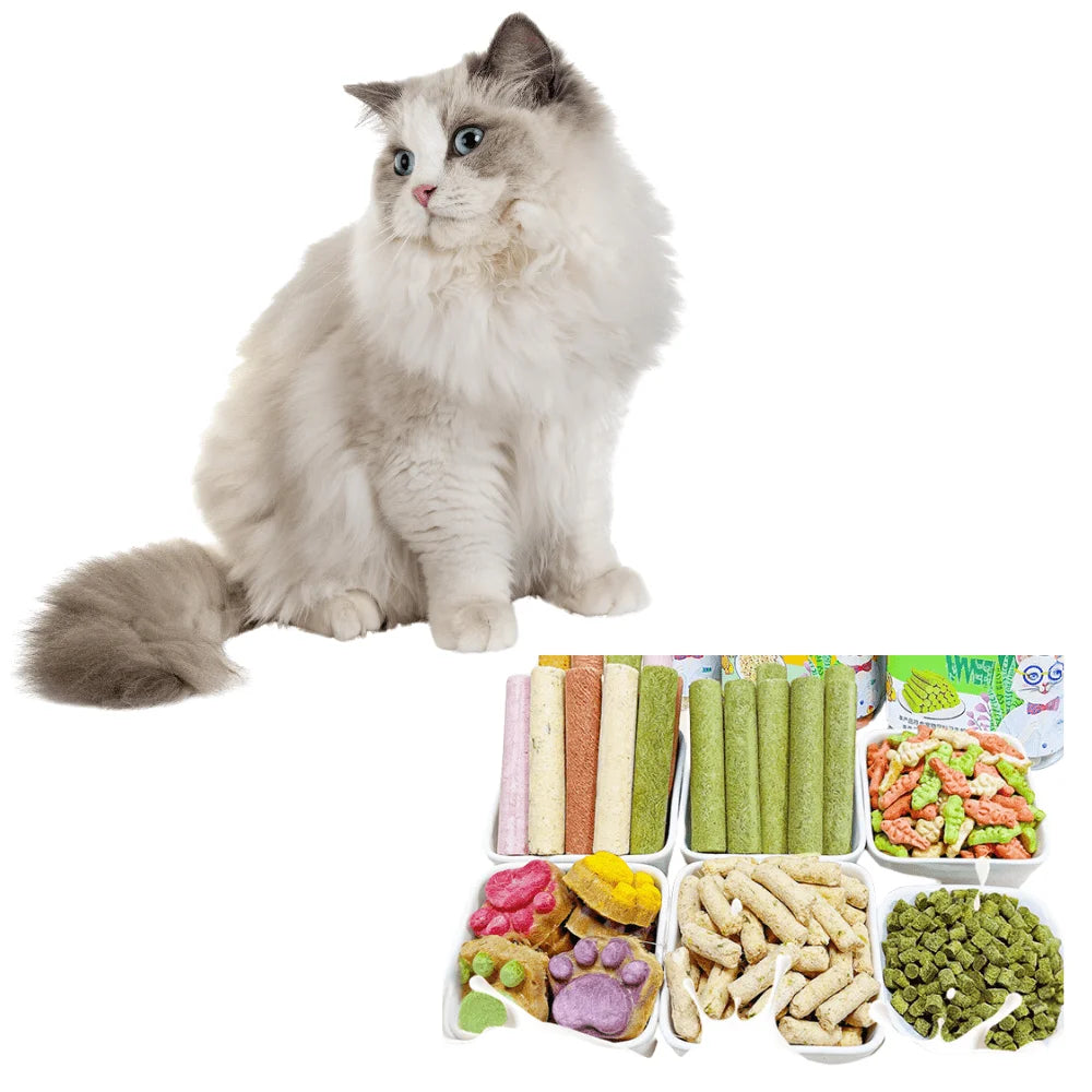 Cat Fish-Shape Biscuit Treats – Chicken-Flavored Snacks for Hairball Support & Teeth Cleaning