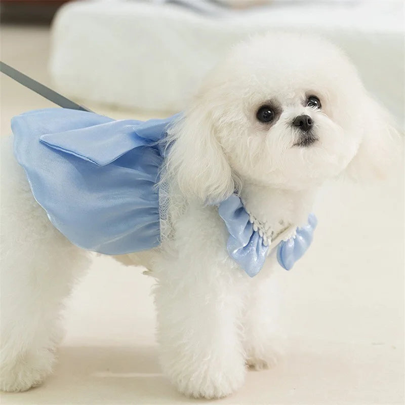 Adorable Small Dog Tutu Dress – Bowknot Lace Princess Outfit for Puppies & Cats
