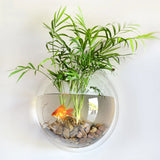 Wall-Mounted Acrylic Fish Tank Vase – Modern Transparent Flower Pot for Home & Office Wall Décor