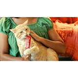 Squeeze Up Lickable Wet Cat Treats – Variety Pack of Creamy Flavors, 0.5oz Tubes, 54-Count Box