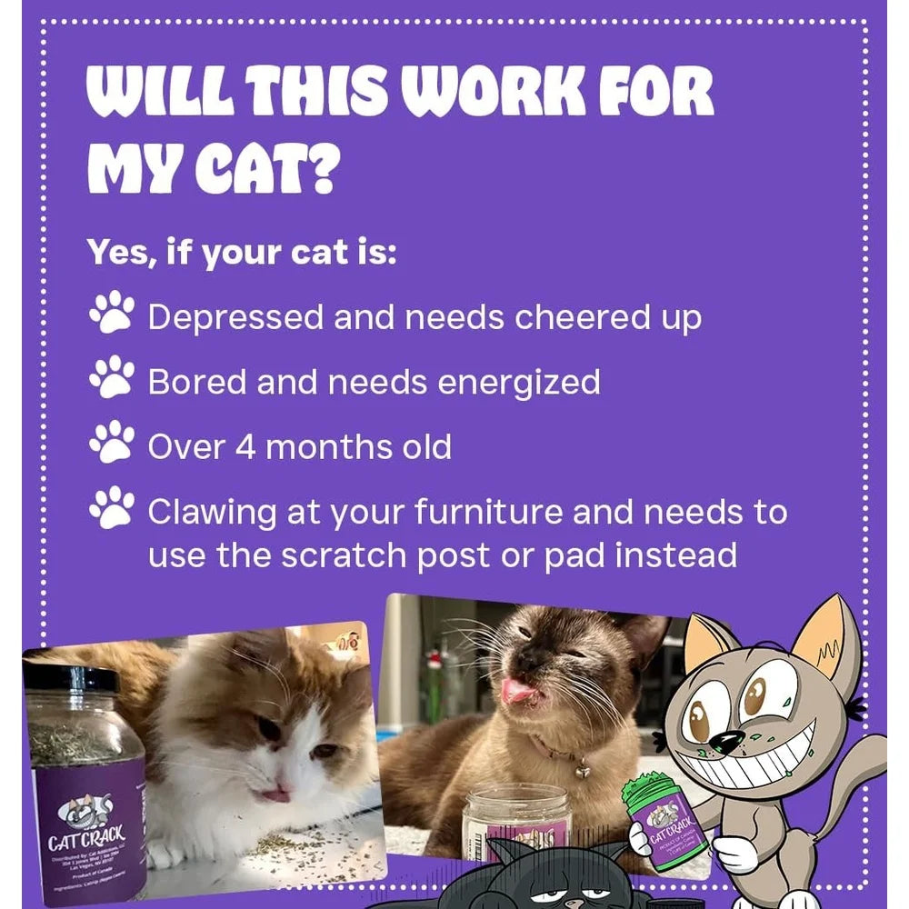 100% Natural Catnip Blend – Non-GMO North American Cat Treats for Zoomies, Safe & Non-Addictive Feline Fun