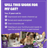 100% Natural Catnip Blend – Non-GMO North American Cat Treats for Zoomies, Safe & Non-Addictive Feline Fun