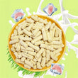 Chicken Cat Grass Milk Stick Treats – Hairball Control & Teeth Cleaning Chews, Chicken-Flavored Snacks for Cats