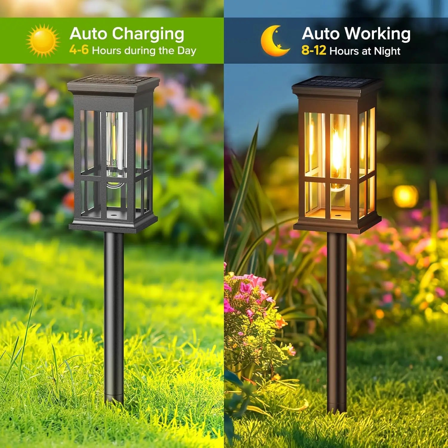 Solar Pathway Lights (2/6/8 Pack) – Super Bright Outdoor LED Lights for Patio, Garden & Sidewalk | Waterproof Energy-Saving Landscape Lamps