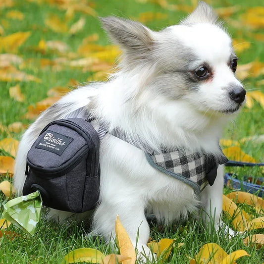 Portable Dog Treat Pouch & Training Bag – Multifunction Travel Bag with Poop Bag Dispenser for Outdoor Pet Training & Walks