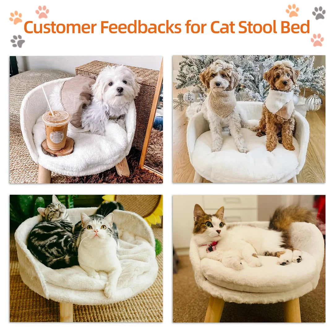 Luxury Cat Bed – Soft Plush Nesting Chair with Cushion Pad, Wooden Legs & Washable Waterproof Design for Small Pets