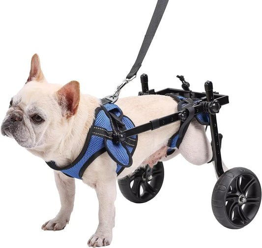 Adjustable Dog Wheelchair for Back Legs – Upgraded All-Terrain Tires, Durable Bearings & Reflective Safety Straps for Mobility Support