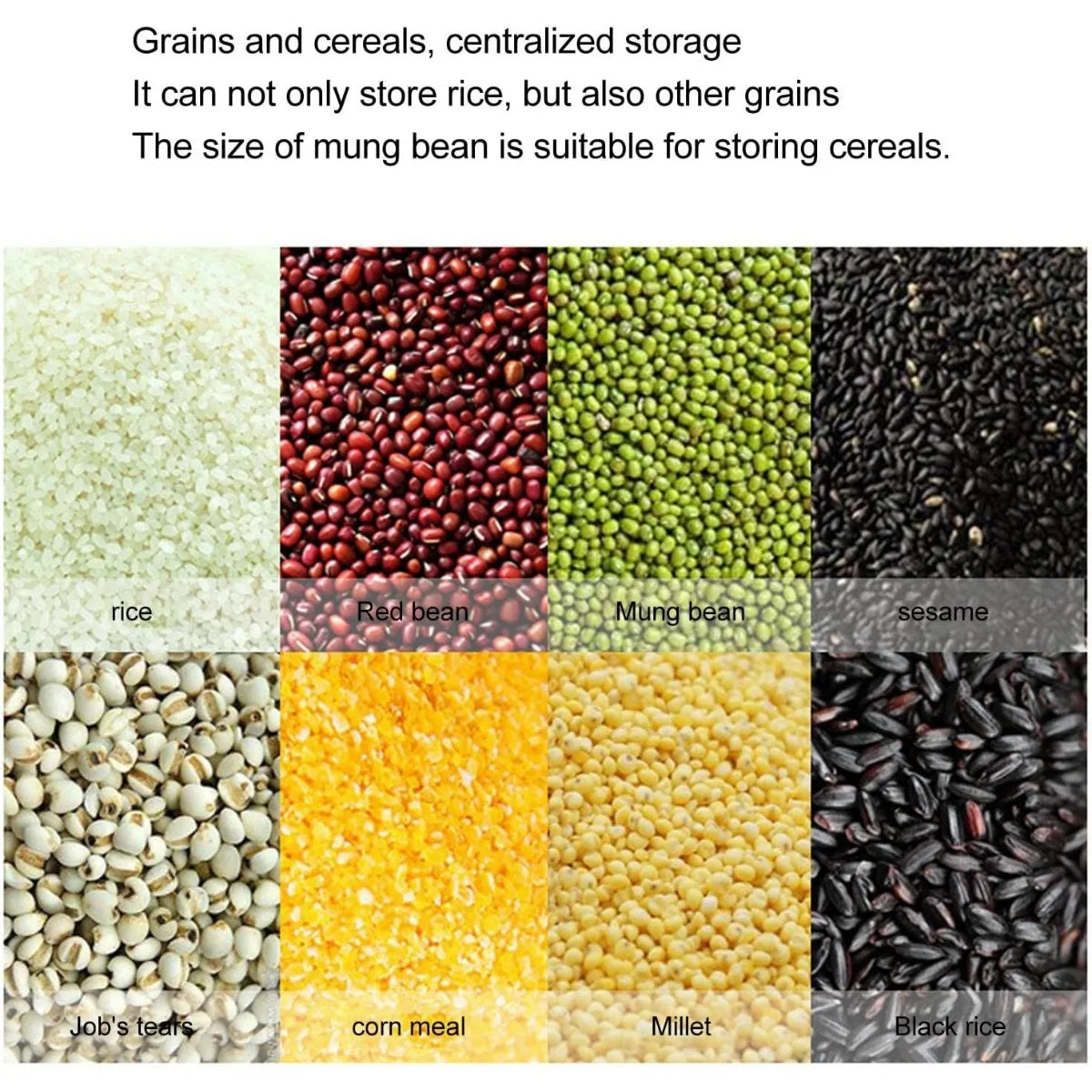 Wall-Mounted Cereal & Dry Food Dispenser 10L – Rice & Grain Storage Container with Measuring Cup for Kitchen & Pantry
