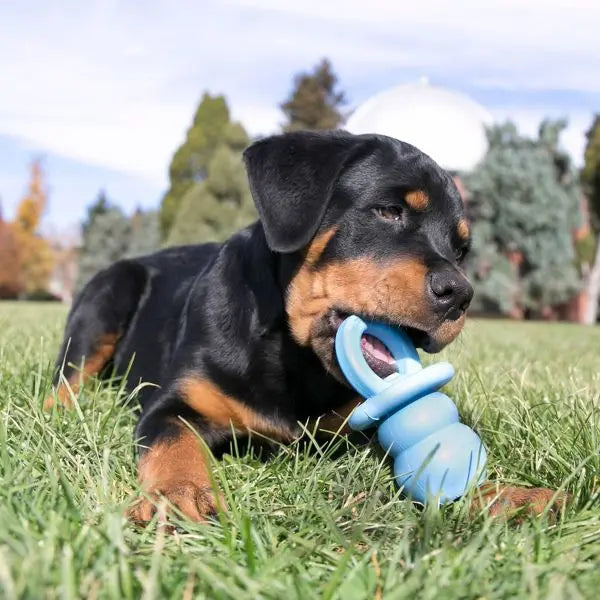 https://www.pulingo.com/products/puppy-binkie-dog-toy-s?utm_source=copyToPasteBoard&utm_medium=product-links&utm_content=web