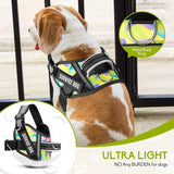 Service Dog Harness & Leash Set – Reflective No-Pull Training Vest with 10 Removable Patches, Multi-Color Options (S–XL Dogs)