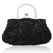 Women’s Beaded Evening Party Clutch – Exquisite Embroidered Mini Tote Wallet Handbag for Weddings & Special Occasions