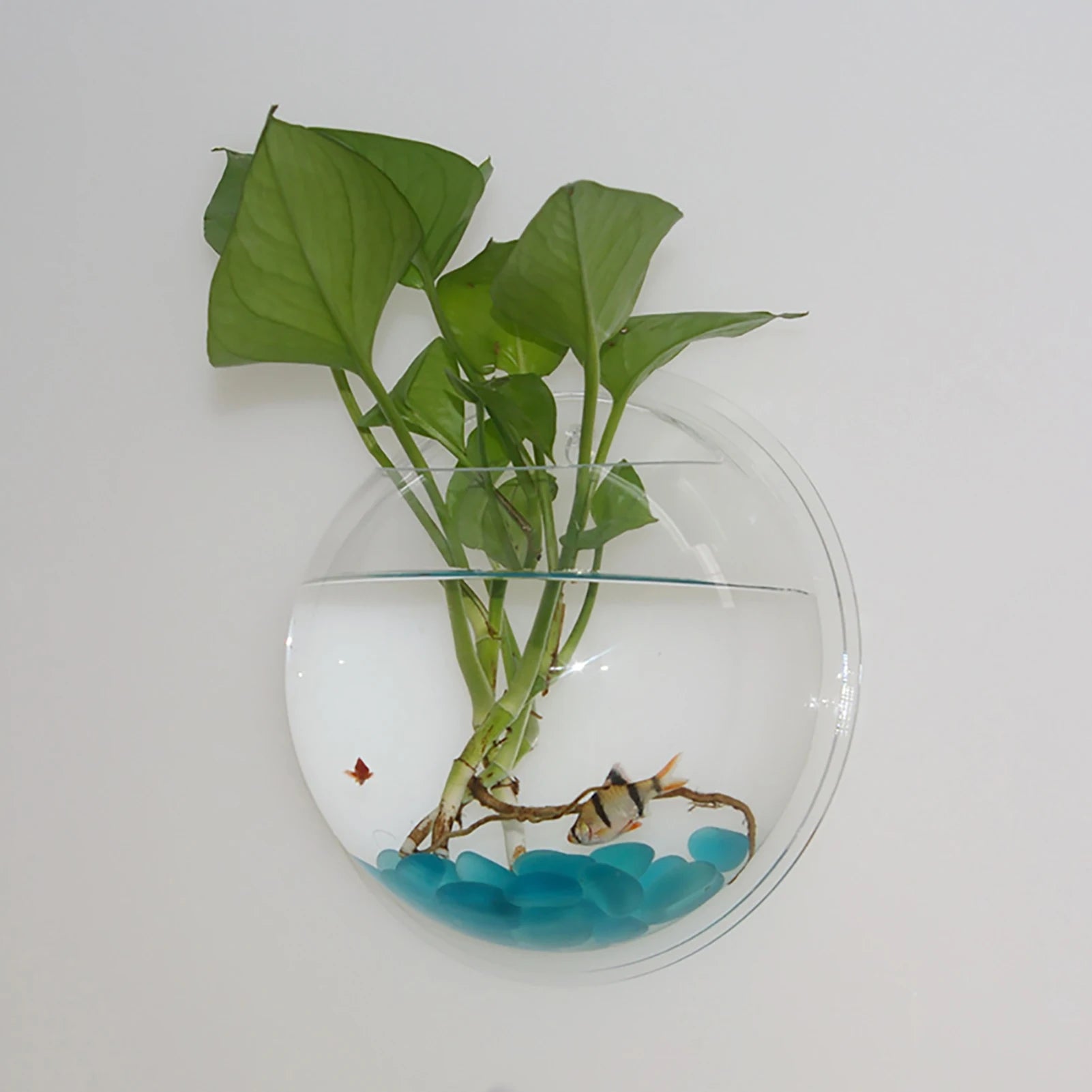 Wall-Mounted Acrylic Fish Tank Vase – Modern Transparent Flower Pot for Home & Office Wall Décor