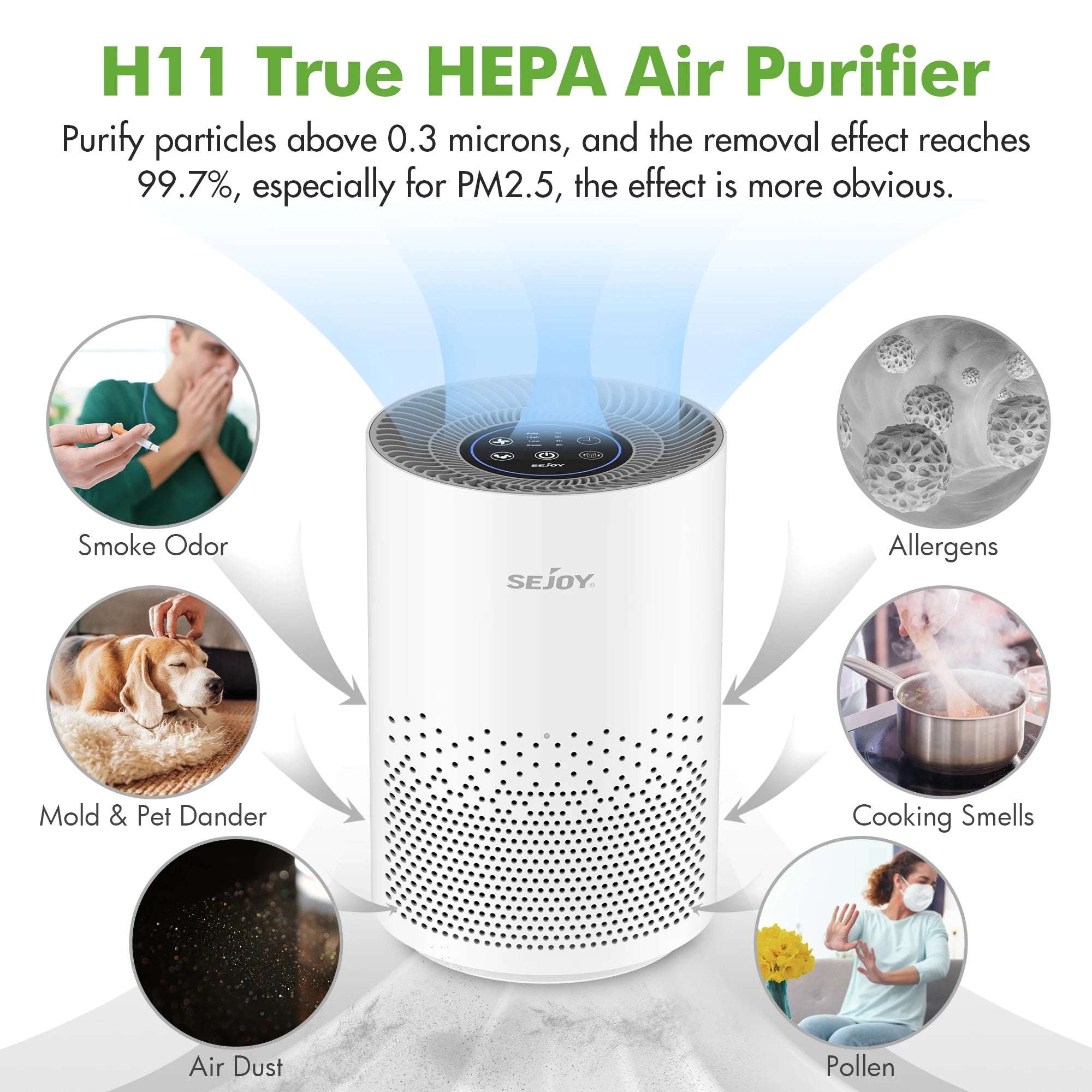 True HEPA Air Purifier – 4 Speeds, Timer, Cold Plasma + 360° Inlet for Bedrooms & Small Spaces