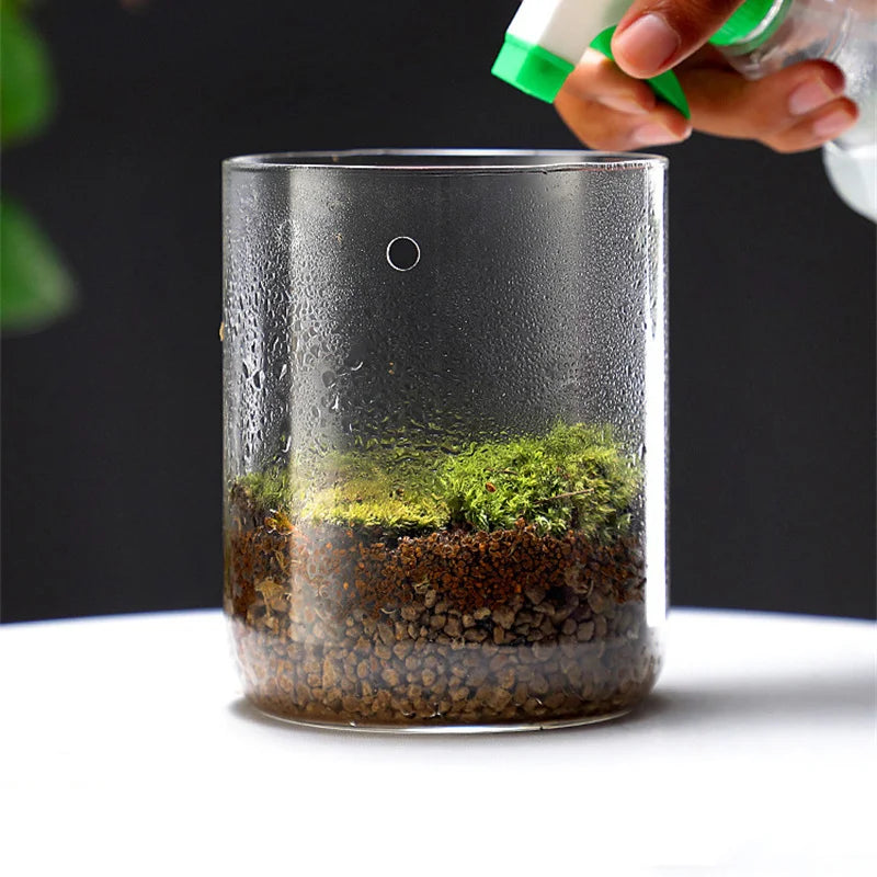 Creative Dew Collection Glass Vase – Mini Terrarium for Succulents, Moss & Micro Landscape | Decorative Glass Bottle Home Décor