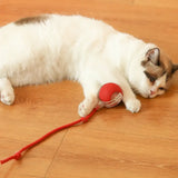 Automatic Interactive Cat Ball Toy – Self-Rolling Rechargeable Smart Motion Ball for Indoor Cats