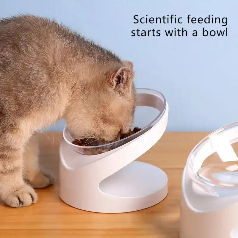 High-Foot Raised Pet Bowl – Anti-Overturn Elevated Feeder with Food & Water Combo