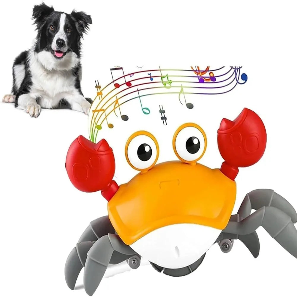 https://www.pulingo.com/products/engaging-interactive-dancing-crab-dog-toy-with-musical-sounds-entertaining-and-stimulating-pet-toy-for-dogs-and-cats-keeps-y?utm_source=copyToPasteBoard&utm_medium=product-links&utm_content=web