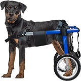 Dog Wheelchair for Back Legs – Adjustable Mobility Support with All-Terrain Tires & Durable Bearings for Large Dogs