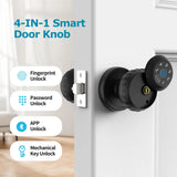 Viladepot Ball-Shaped Smart Lock – Fingerprint & App Controlled Round Electric Door Knob with Touchscreen Keypad