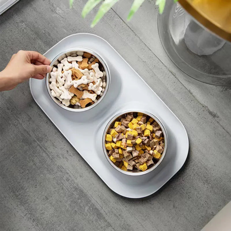 Stainless Steel Double Cat & Dog Bowl – Tilted Pet Food & Water Feeder with Non-Slip Base for Neck Safety 🐾🥣