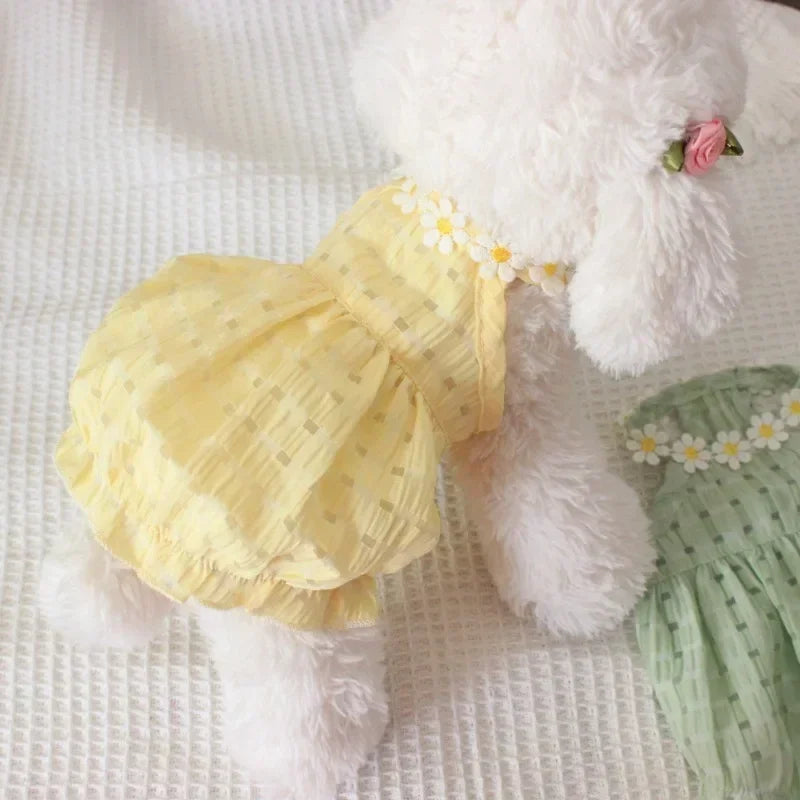 https://www.pulingo.com/products/daisy-dress-pet-clothing-dogs-thin-breathable-for-dog-clothes-costume-small-french-bulldog-soft-cute-summer-yollow-girl-mascotas?utm_source=copyToPasteBoard&utm_medium=product-links&utm_content=web