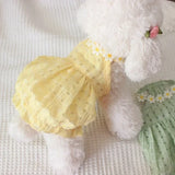 https://www.pulingo.com/products/daisy-dress-pet-clothing-dogs-thin-breathable-for-dog-clothes-costume-small-french-bulldog-soft-cute-summer-yollow-girl-mascotas?utm_source=copyToPasteBoard&utm_medium=product-links&utm_content=web