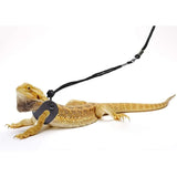 Bearded Dragon Harness & Leash Set – 3-Pack Adjustable Soft Leather Reptile Leash for Lizards, Amphibians & Small Pets