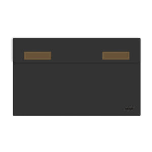 Holster-Black
