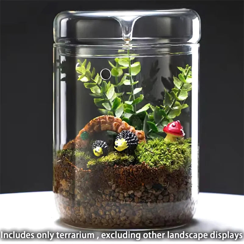 Creative Dew Collection Glass Vase – Mini Terrarium for Succulents, Moss & Micro Landscape | Decorative Glass Bottle Home Décor
