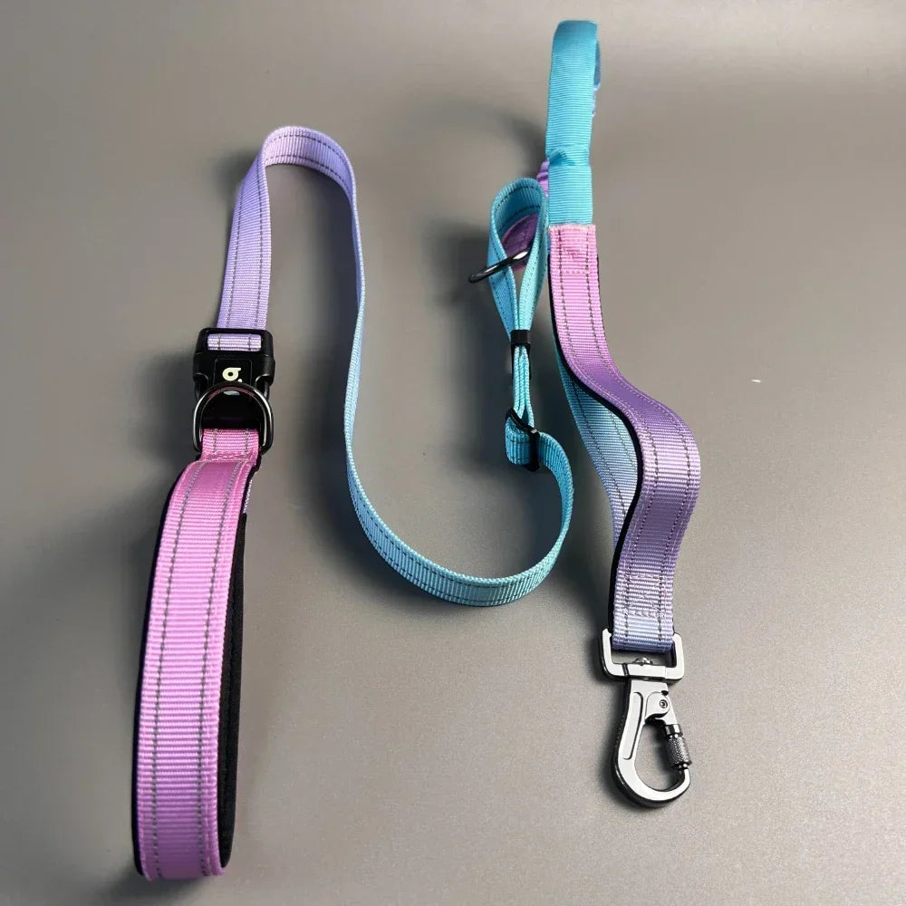 Stretchable Hands-Free Dog Leash with Waist Bag – Shock Absorbing Running Rope for Medium & Large Dogs