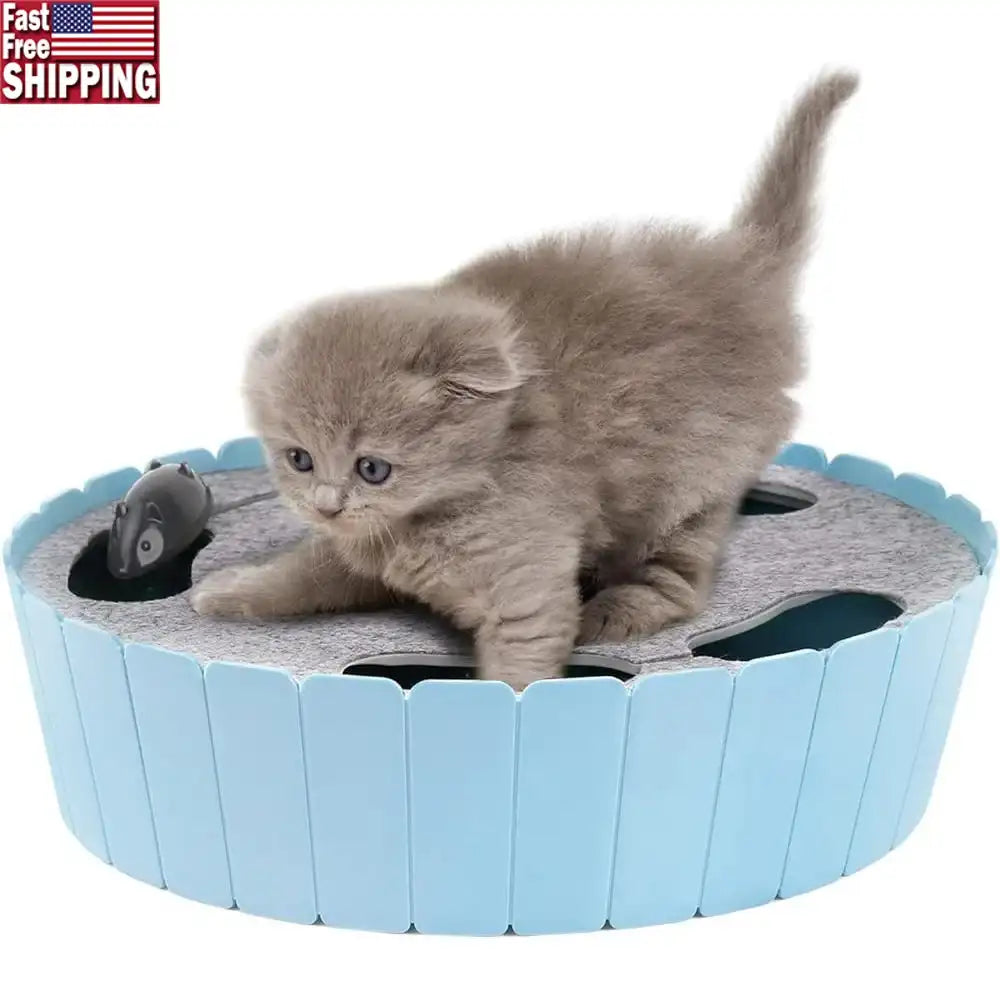 Interactive Running Mouse Cat Toy – Automatic Teaser Indoor Play & Hide-Seek Pet Toy
