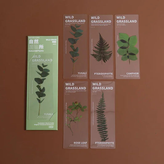5-Piece Flower Series PVC Bookmarks – Cute Page Markers for Books & School Supplies