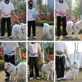 Stretchable Hands-Free Dog Leash with Waist Bag – Shock Absorbing Running Rope for Medium & Large Dogs