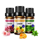 12-Pack Essential Oils Set – 10 mL Each, 12 Fragrances for Diffuser & Aromatherapy Home Relaxation
