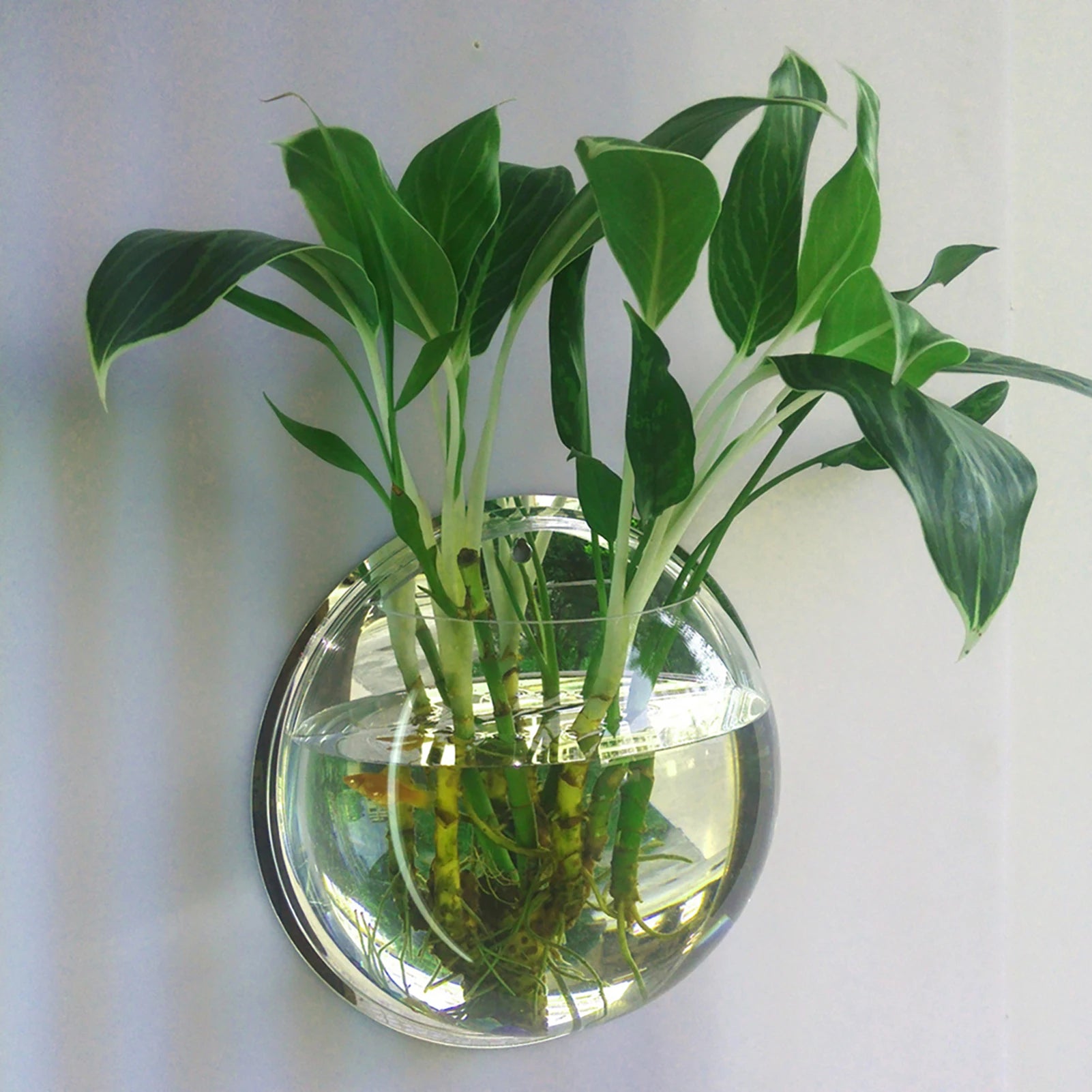 Wall-Mounted Acrylic Fish Tank Vase – Modern Transparent Flower Pot for Home & Office Wall Décor