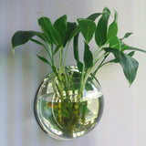 Wall-Mounted Acrylic Fish Tank Vase – Modern Transparent Flower Pot for Home & Office Wall Décor