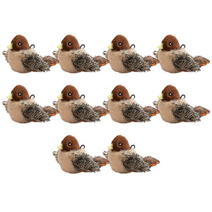 10PCS