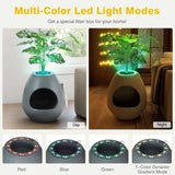 https://www.pulingo.com/products/egg-shaped-smart-cat-litter-box-with-odor-removal-system-semi-enclosed?utm_source=copyToPasteBoard&utm_medium=product-links&utm_content=web