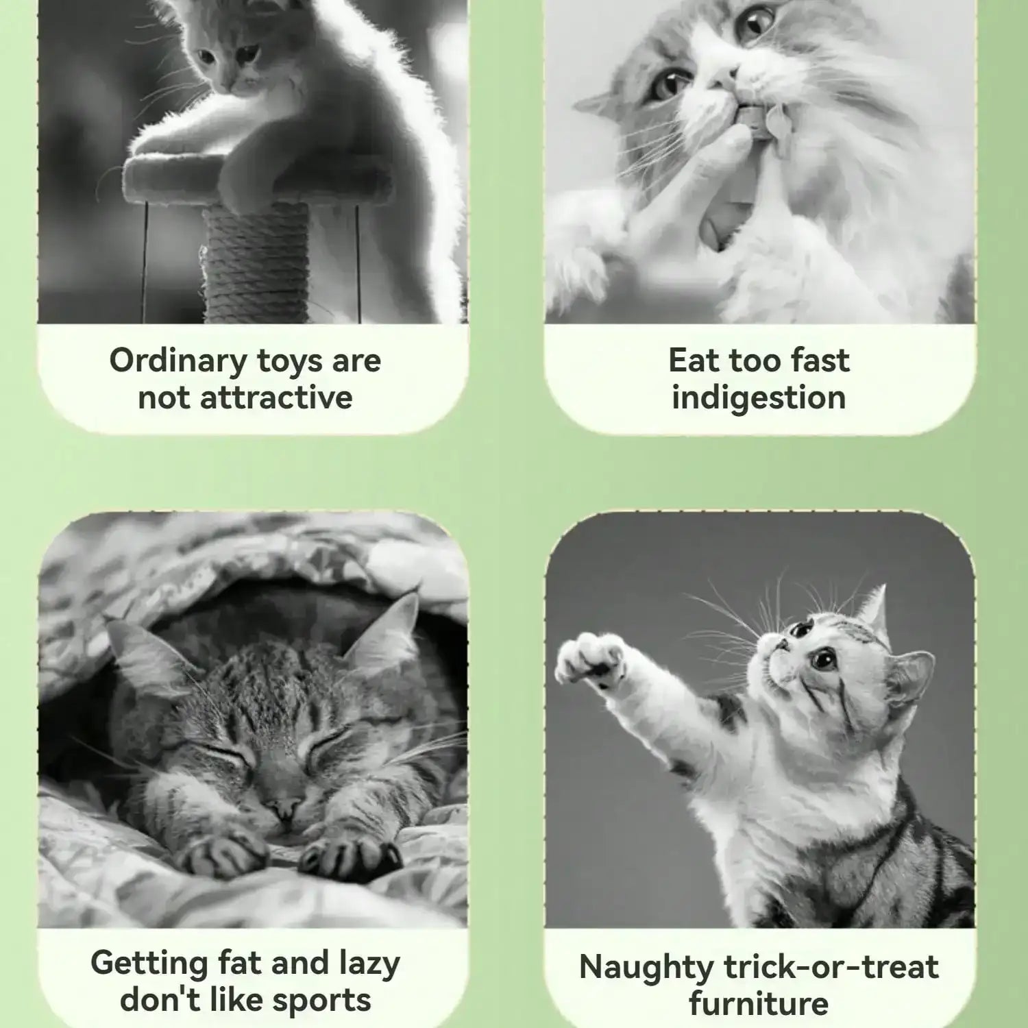 Planet Digging & Snack Dispenser Toy – Interactive Educational Toy for Cats & Dogs