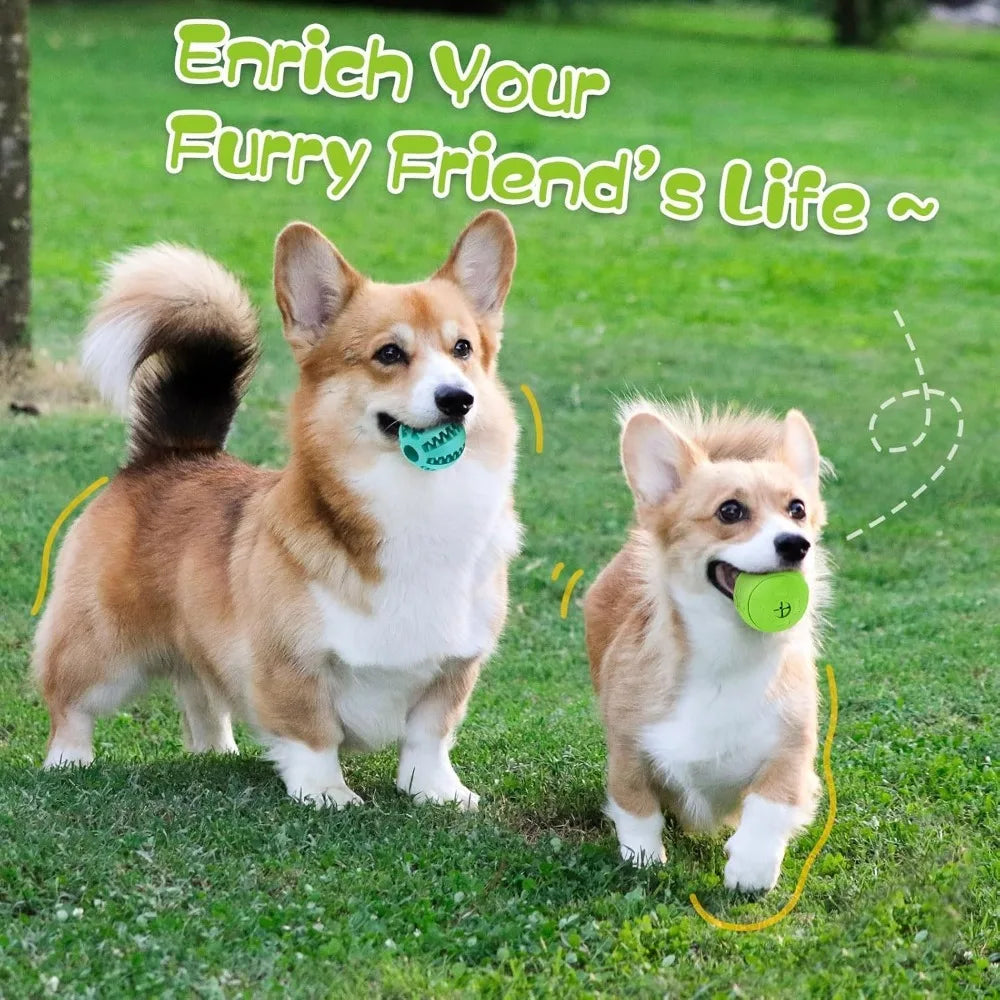 Interactive Dog Treat Ball – Durable Teething Toy, Slow Feeder & IQ Training for Puppies