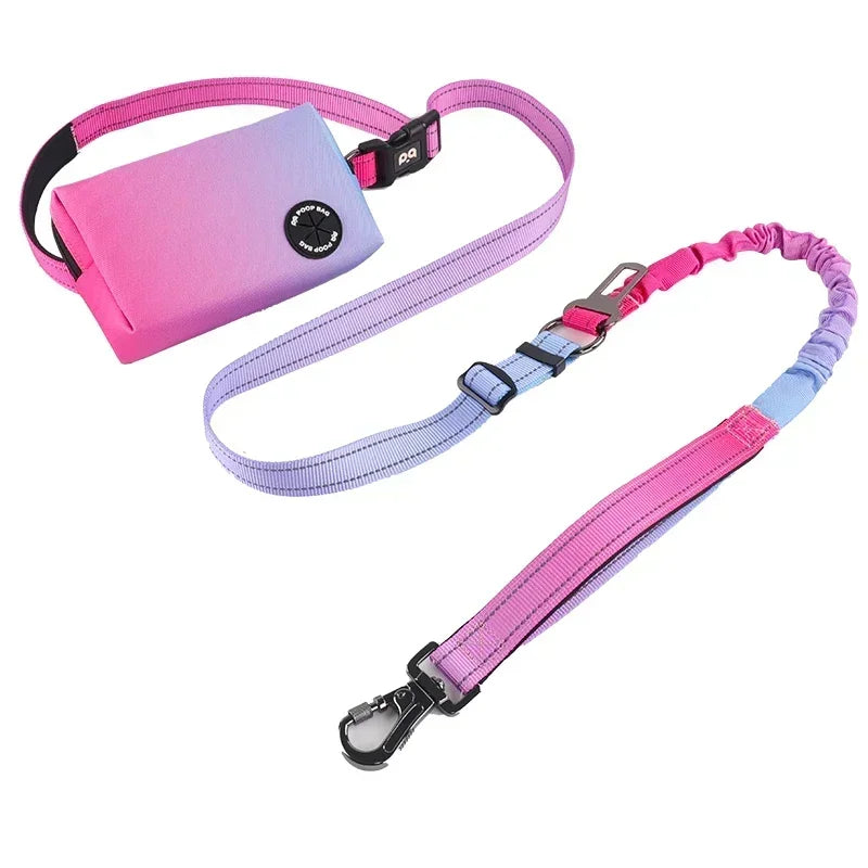 Stretchable Hands-Free Dog Leash with Waist Bag – Shock Absorbing Running Rope for Medium & Large Dogs