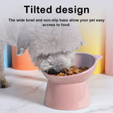 Tilted Elevated Cat Food Bowl – Ergonomic Raised Anti-Vomiting Feeder for Flat-Faced Cats & Small Dogs