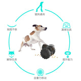 Interactive Treat Dispensing Puzzle Toy – Fun Mental Stimulation Game & Slow Feeder for Dogs