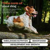 15-in-1 Dog Multivitamin Chews – Complete Joint, Hip & Immune Support with Glucosamine, Vitamins & Minerals for Overall Health