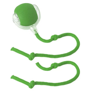 Green 1PCS