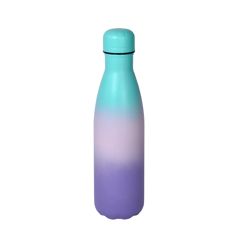 Double-Wall Stainless Steel Sport Water Bottle 500 ml – Leak-Proof, Hot & Cold Insulated