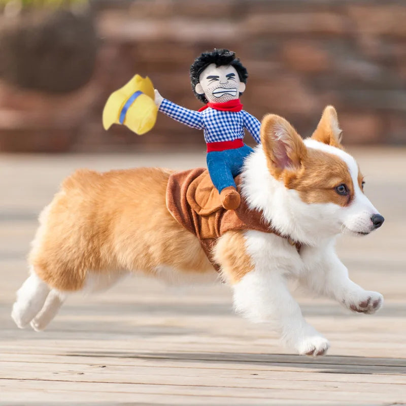 Halloween Dog Costume – Funny Cowboy Knight Pet Outfit for Parties, Role Play & Entertainment